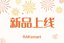 RAKsmart香港裸机云高防服务器